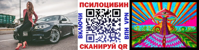 Купить  Полесск  Псилоцибиновые грибы Magic Shrooms 