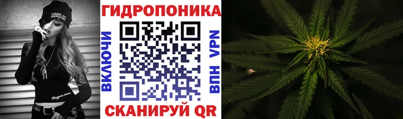 Купить где Полесск Каннабис SATIVA & INDICA